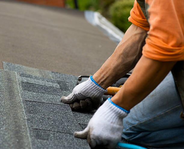 Best Roof Maintenance Services  in Medpolis, IA
