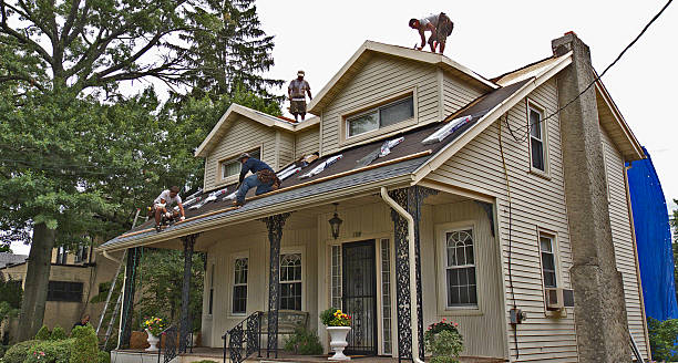 Best Roof Leak Repair  in Medpolis, IA