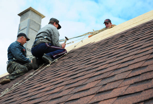 Best Slate Roofing Contractor  in Medpolis, IA